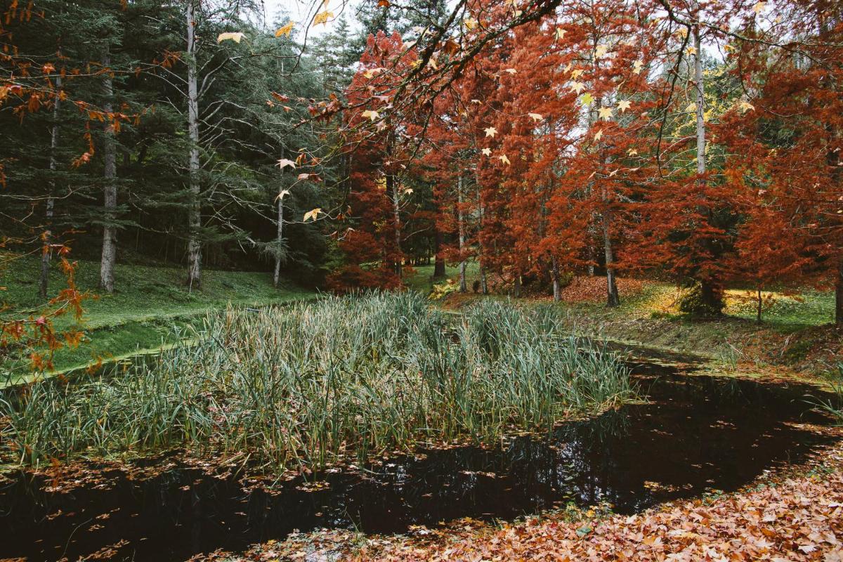 Fattoria Della Nave - Housity