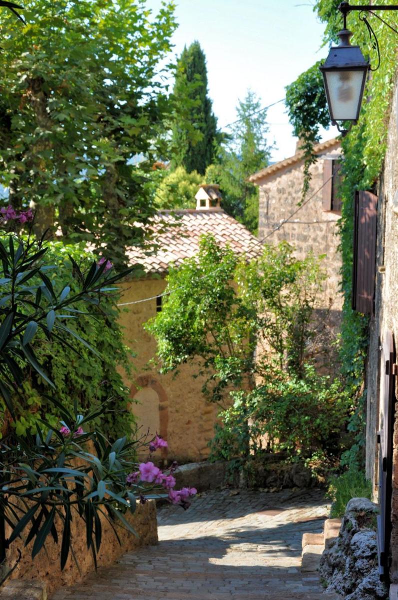 Jardin de l'établissement Le Château d'Argens