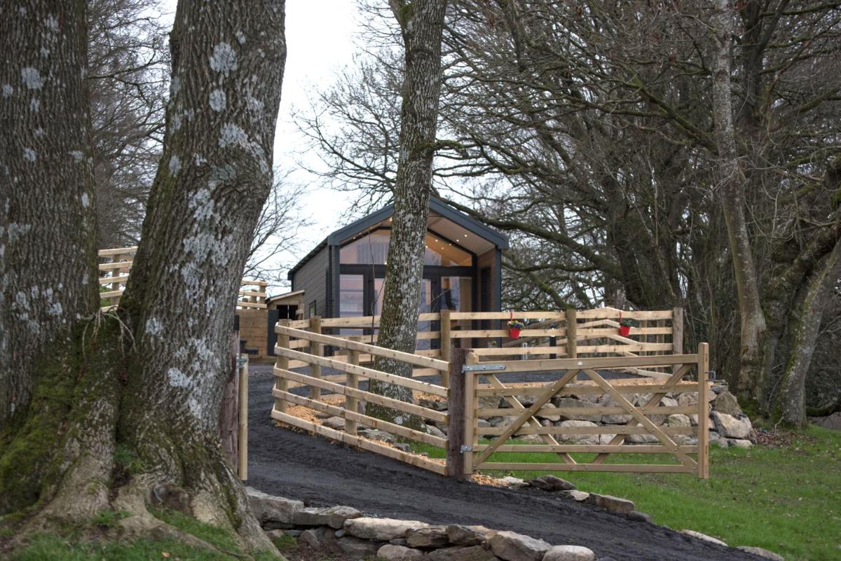 Woodland Escape - Housity