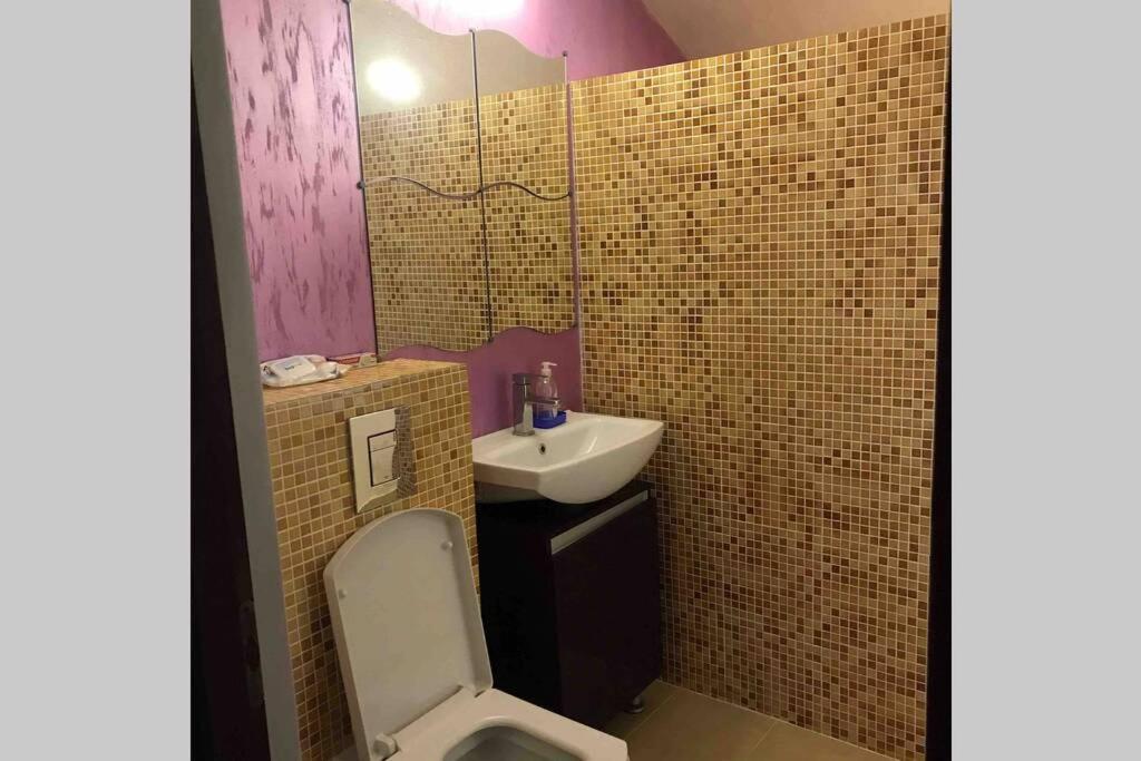 Vila in the country ( 30min from Craiova) - Housity