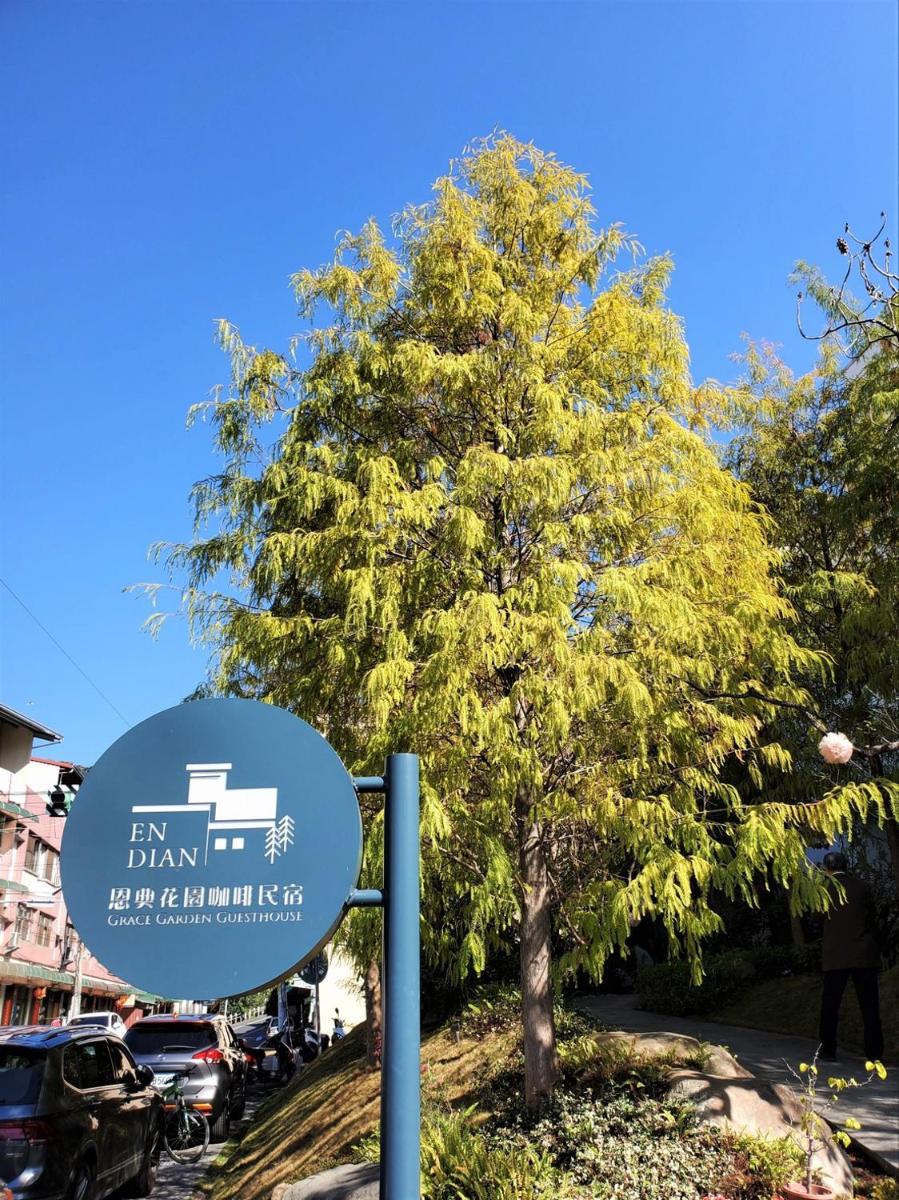 Grace Garden Coffee Homestay - Housity