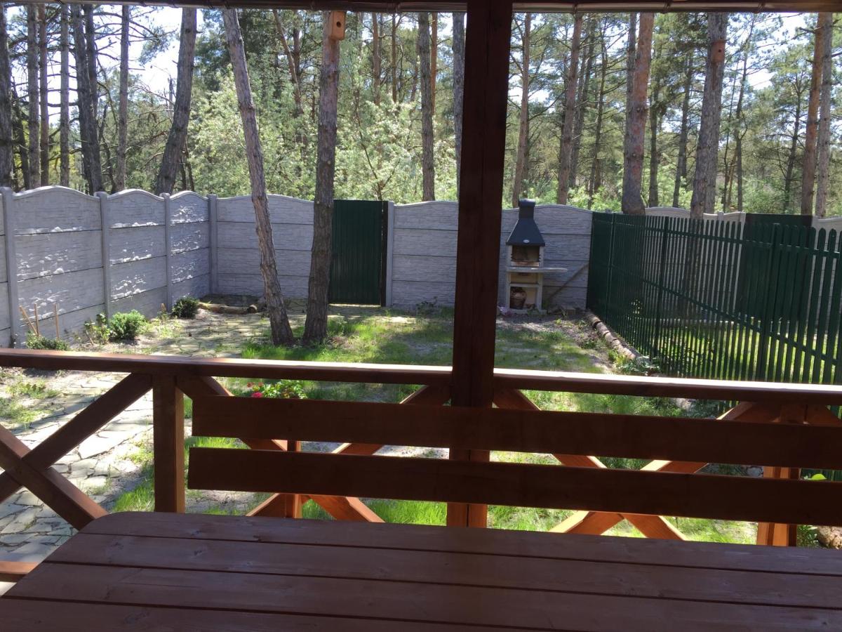Cottage in Sosnovom Boru - Housity