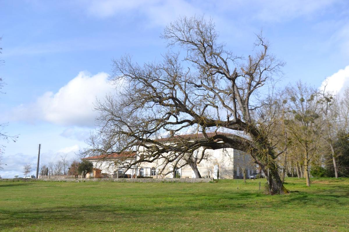 Domaine de Simorre; Calme et Charme en Haute-Garonne - Housity