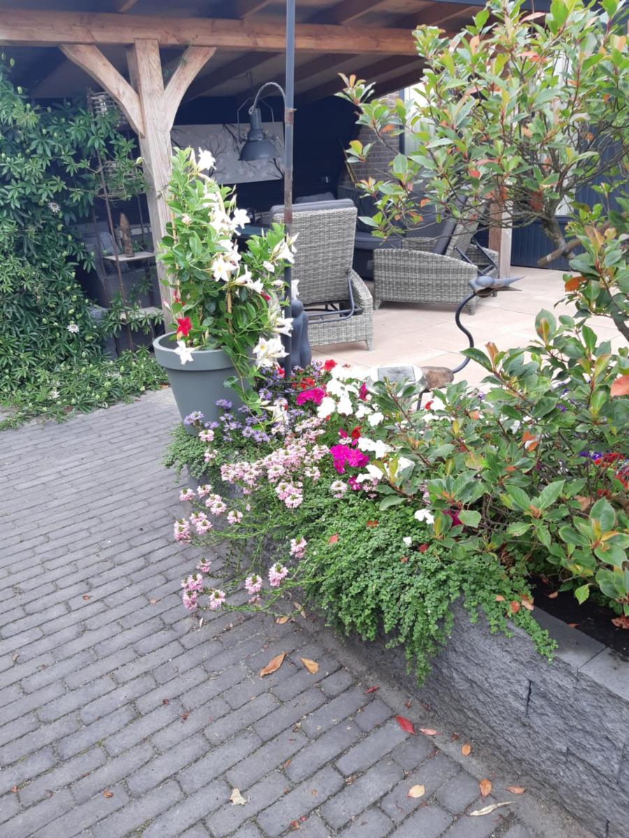 BenB Weerribben Wieden - Housity