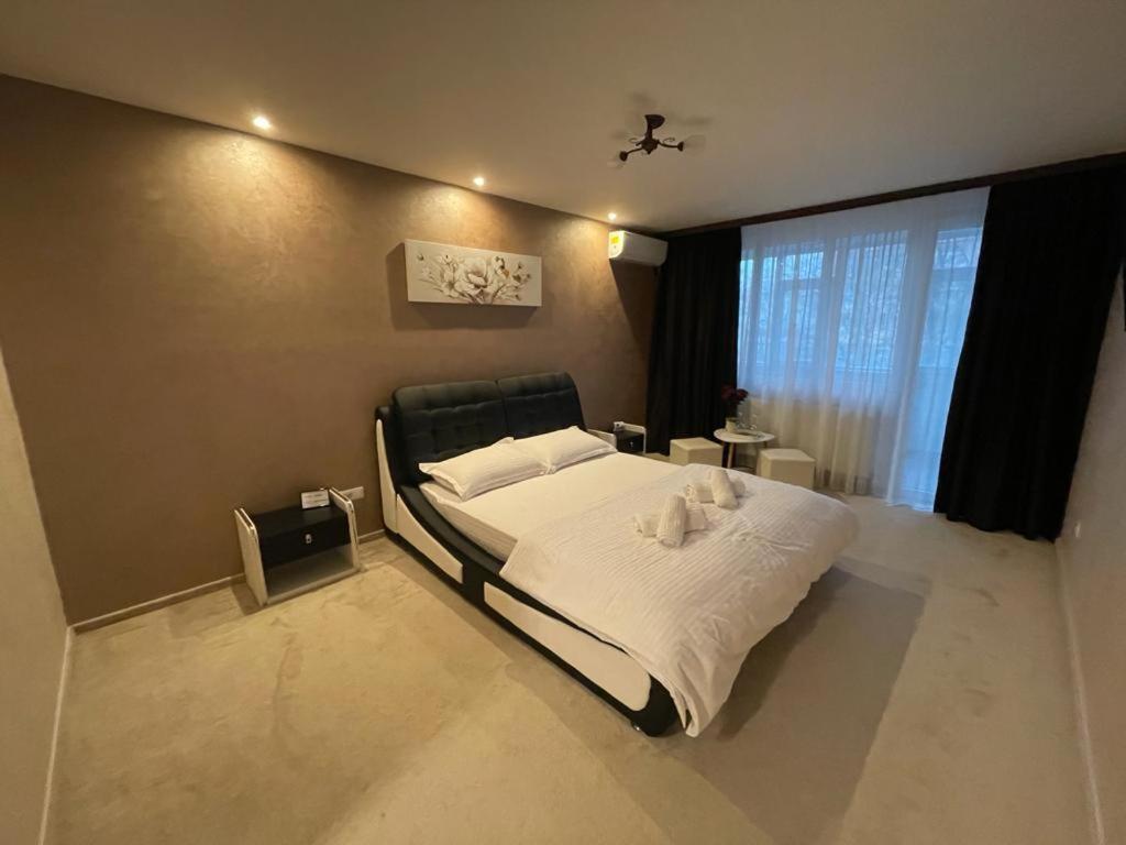 CEZARA - Housity