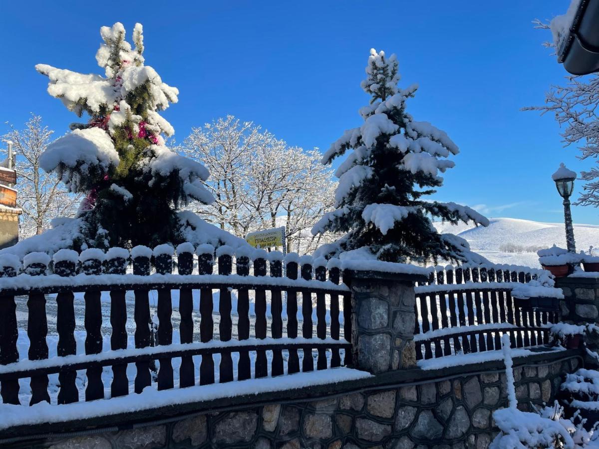 Guest House Vila Djokic - Housity