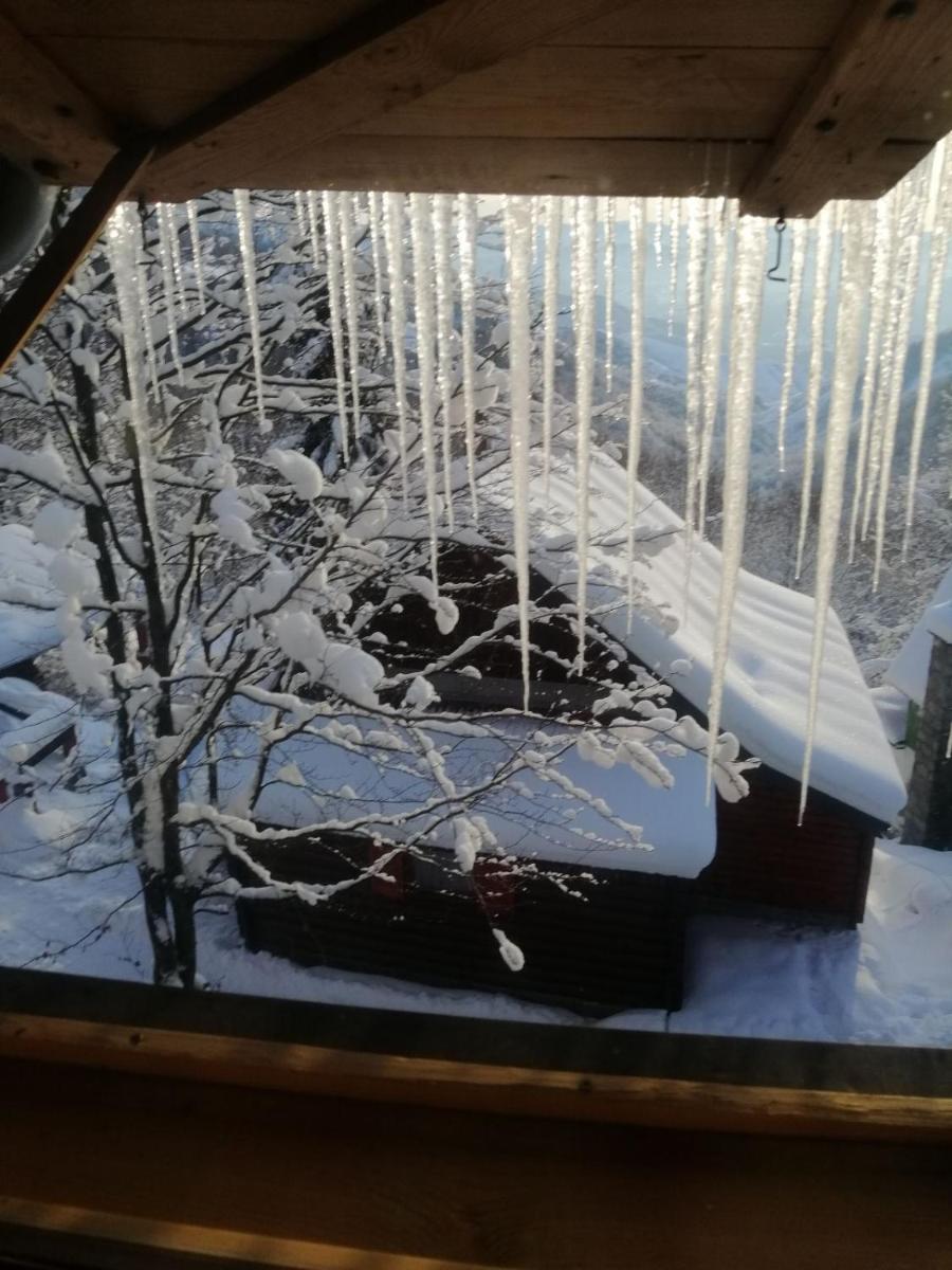 Mountain House Mijatović - Housity