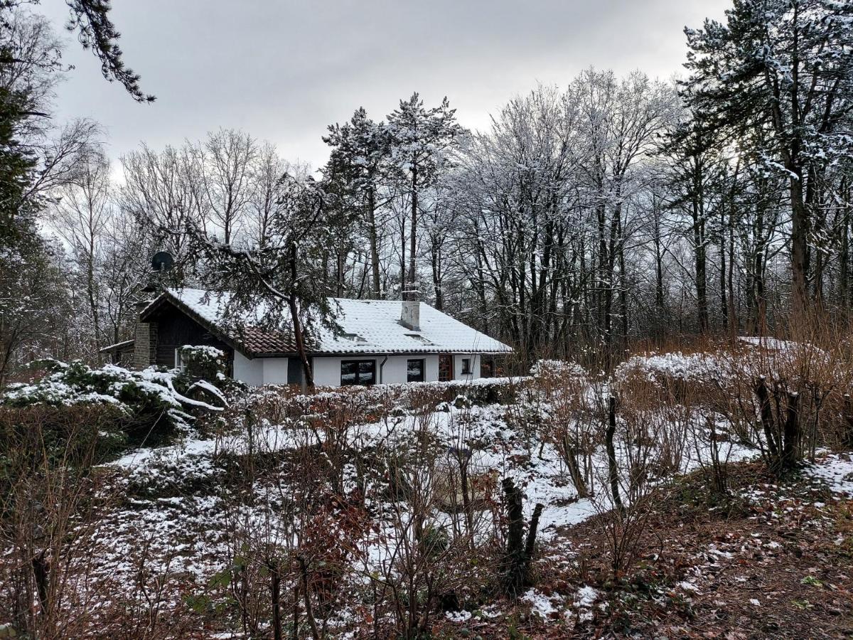 Chalet des pins d'Autriche - Housity
