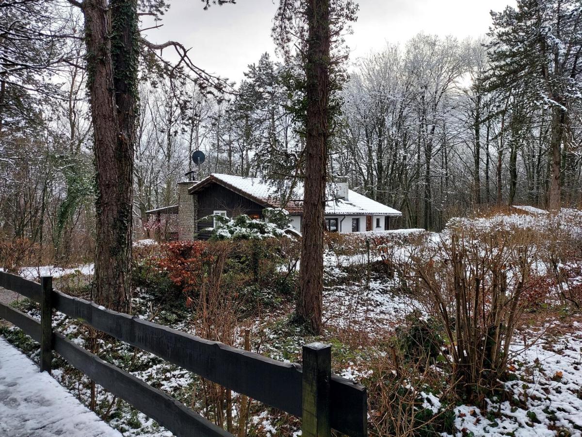 Chalet des pins d'Autriche - Housity