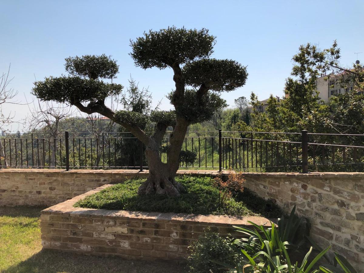 L'Ulivo nel Borgo B&B - Housity