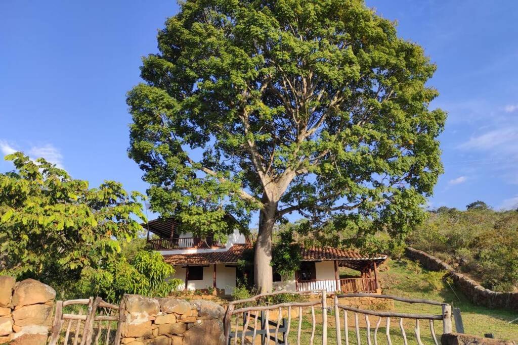 Casa Ceiba de Mirabel-Barichara - Housity