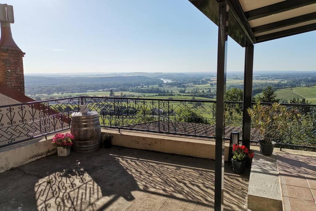 Vue panoramique sur le vignoble - Hizvo