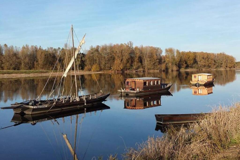 Gîte La Gabare entre Loire et Chambord - Housity