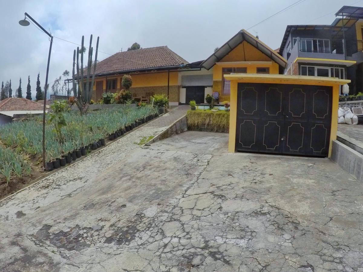 Homestay Lereng Bromo - Housity