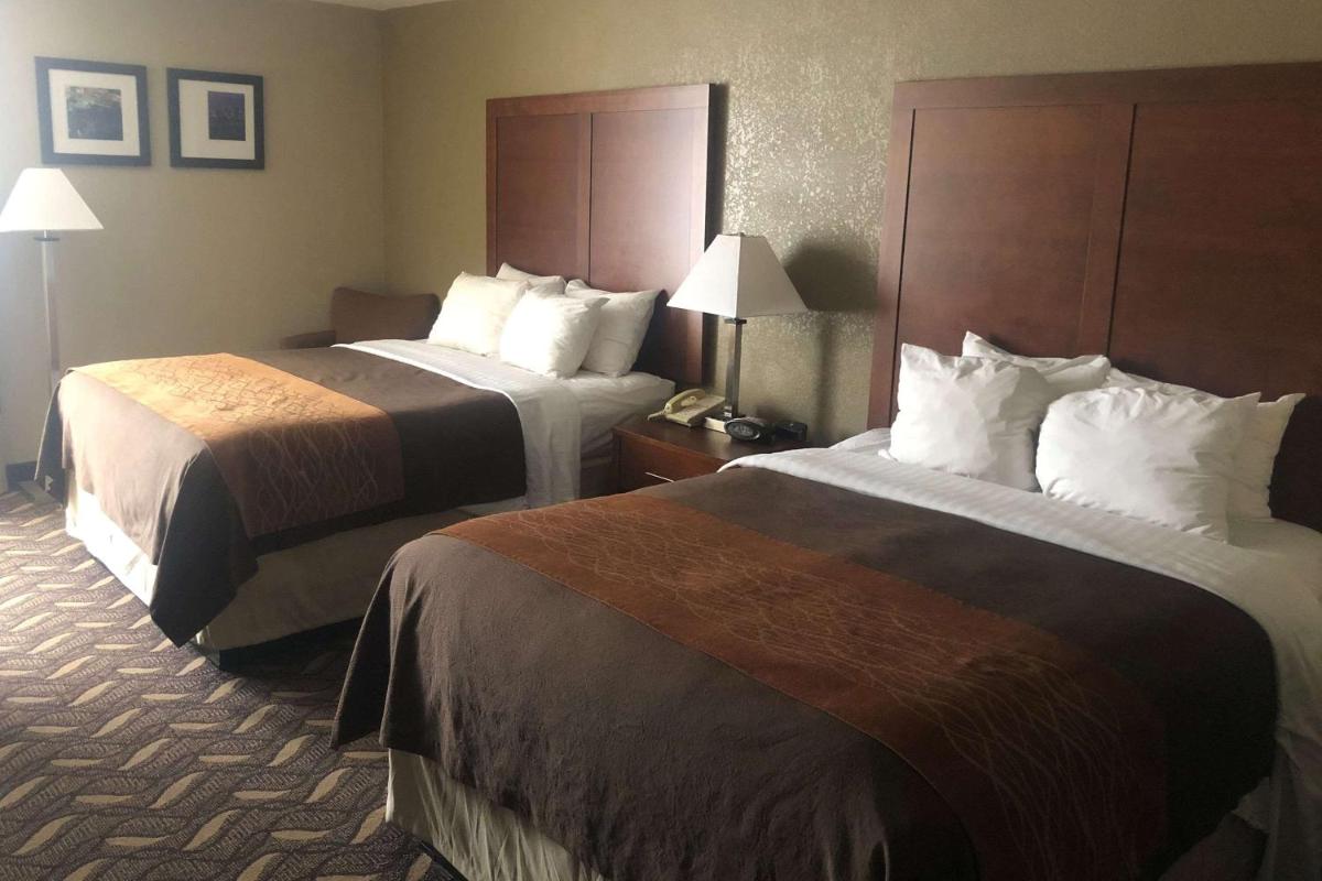 AmericInn by Wyndham Memphis East - Housity