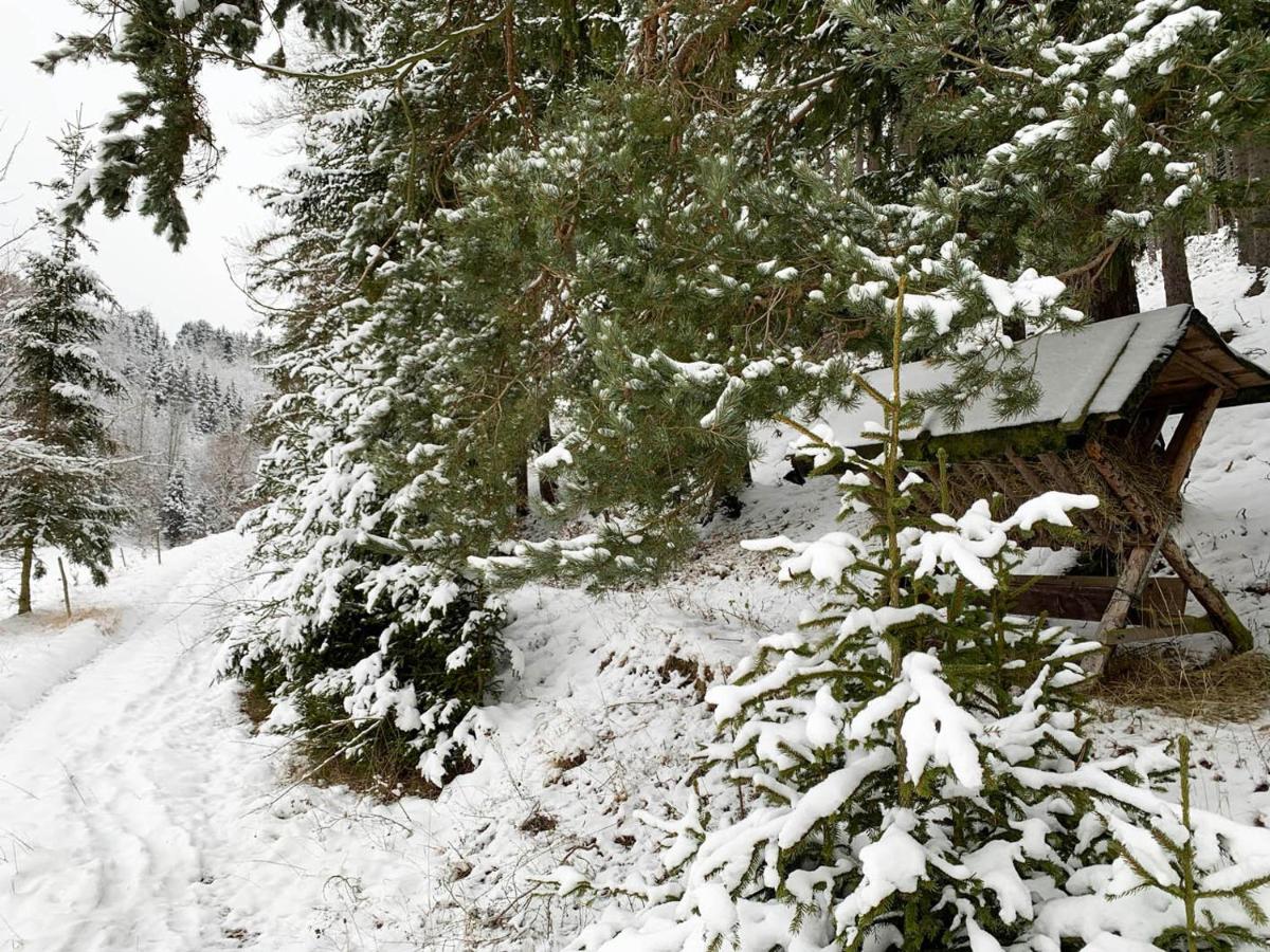 Ferienhaus im Kumbachtal - Housity