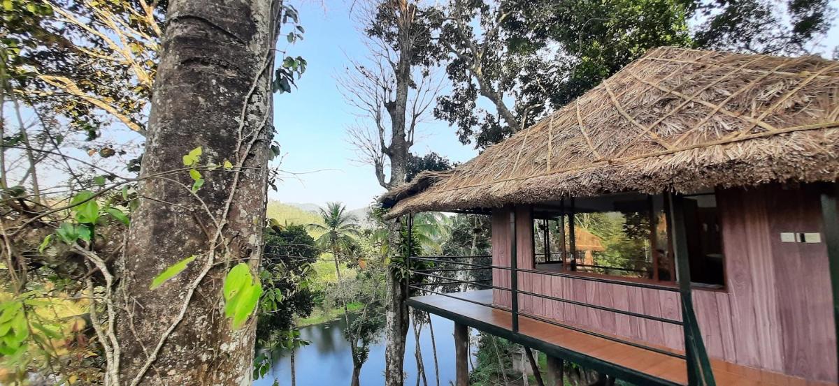 Noah's Nest Tree House - Housity