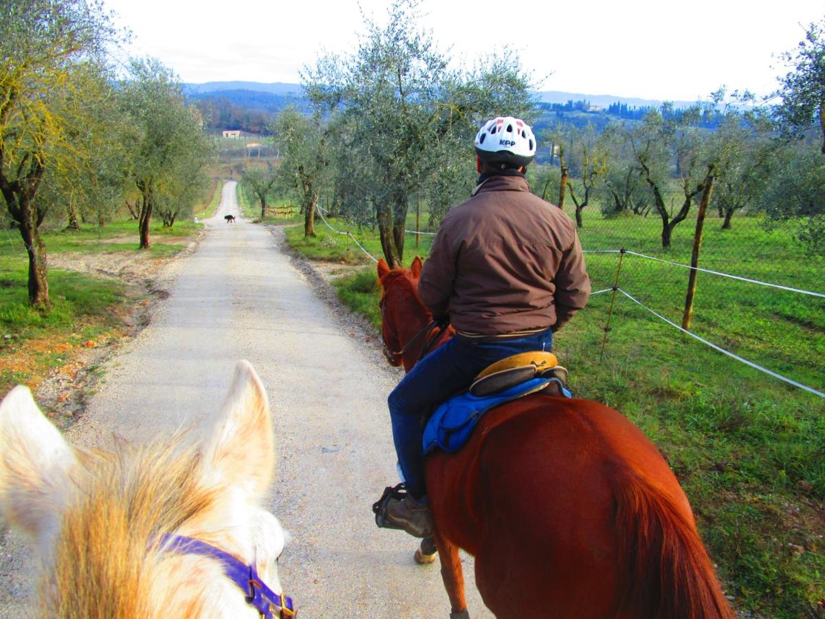 Il Mandorlo di Monteriggioni - Hizvo