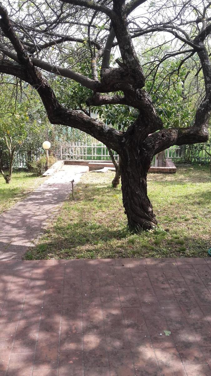 Bed & Breakfast SUITE - Housity