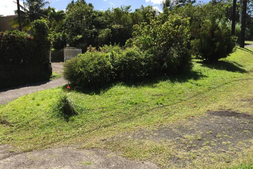 Logement en pleine verdure tropicale -10 min plage - Housity