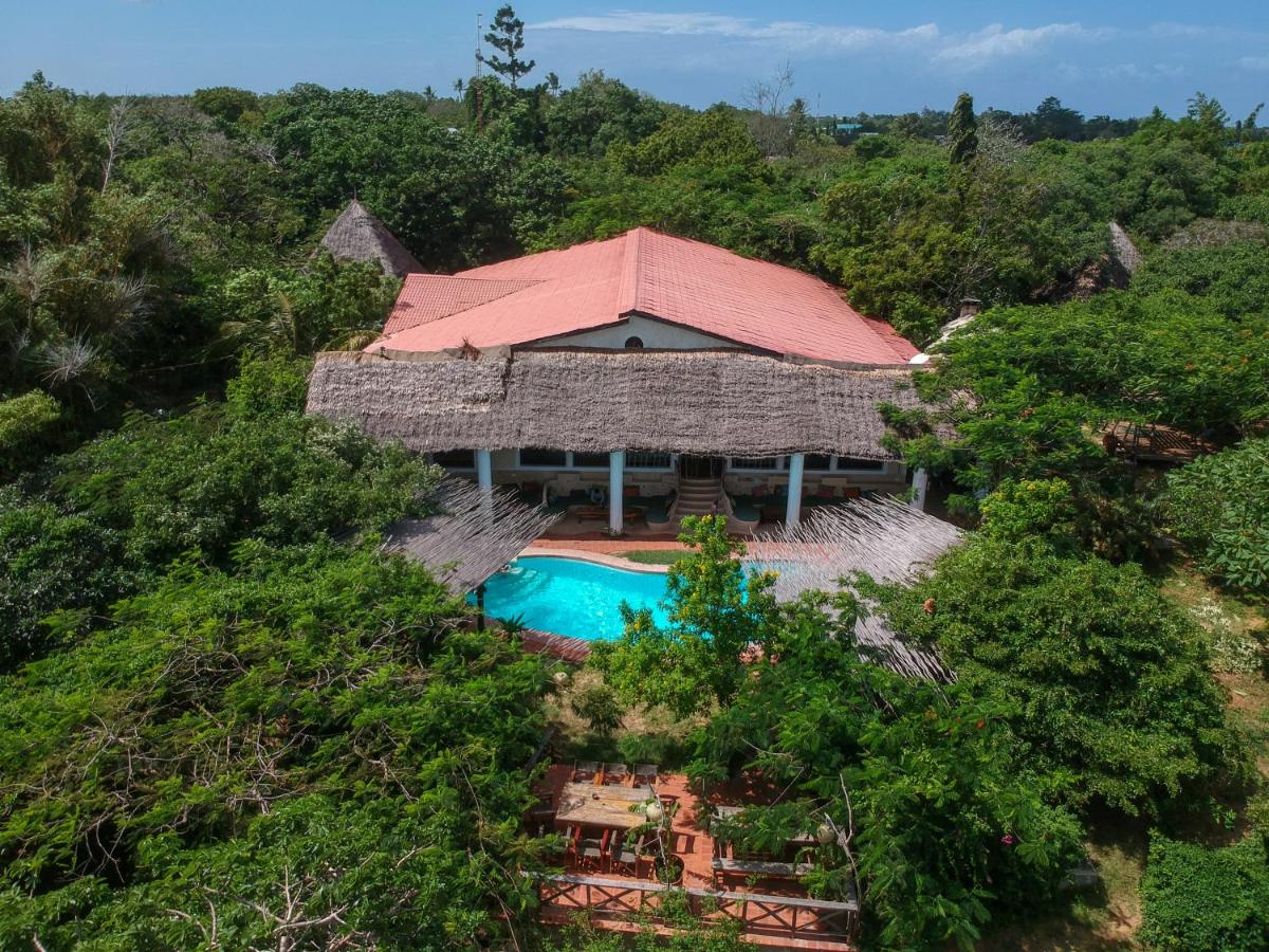 Distant Relatives Ecolodge & Backpackers - Housity