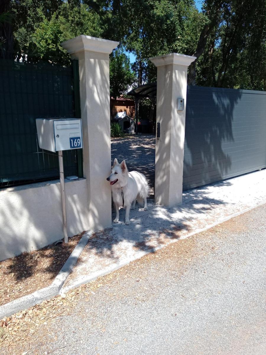DIVA - Housity