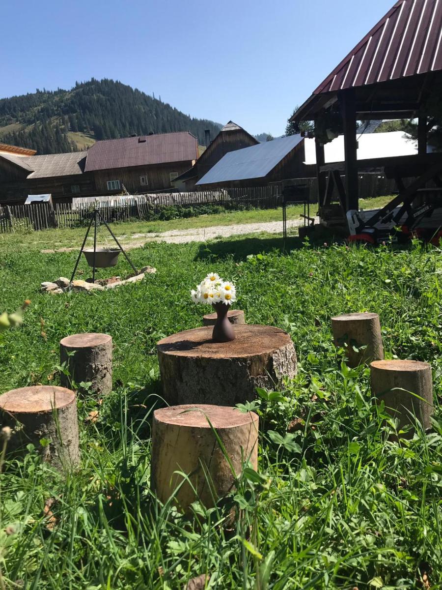 Cabana La Trei Brazi Carlibaba - Housity