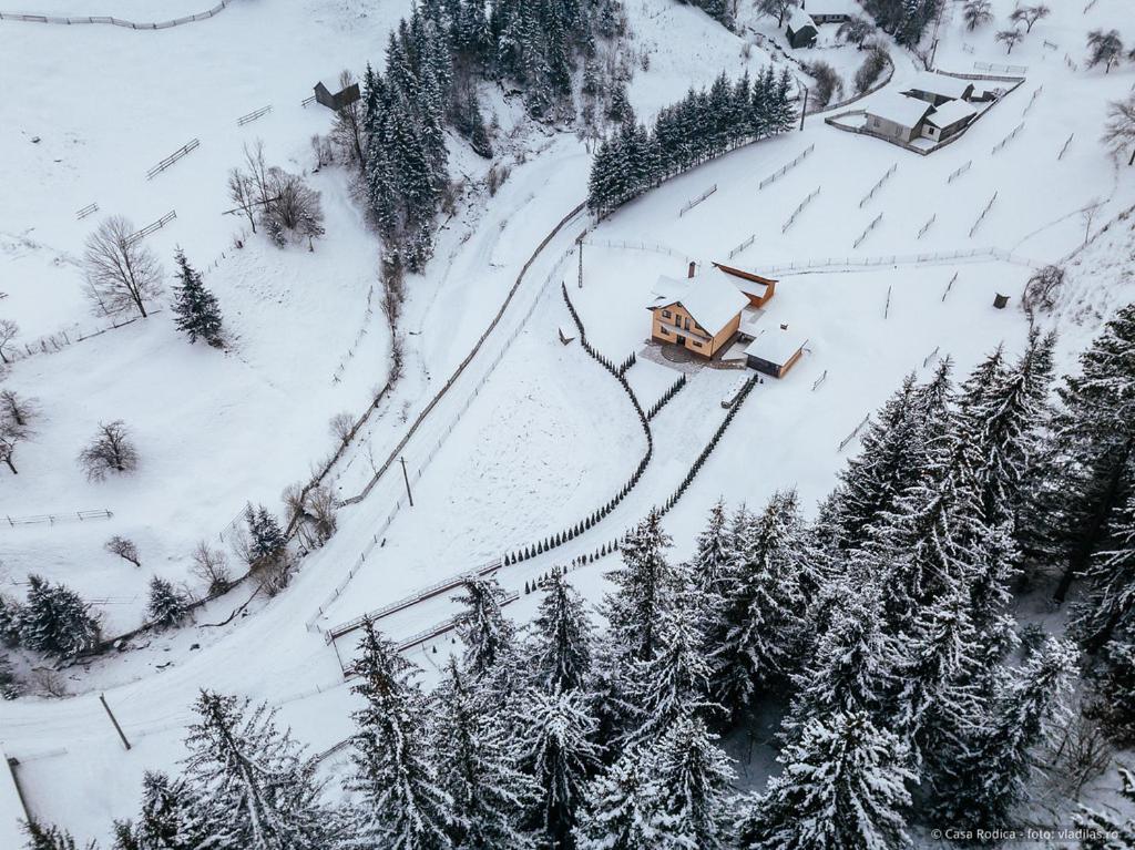 Casa Rodica - Housity