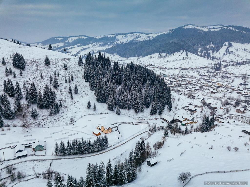 Casa Rodica - Housity