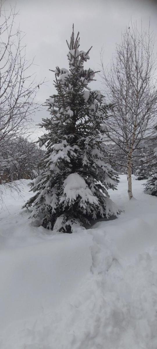 University Hotel Tsakhkadzor - Housity