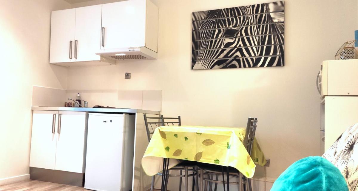 Grand studio Cahors Centre RDC proche Gare Pont Valentré - Housity