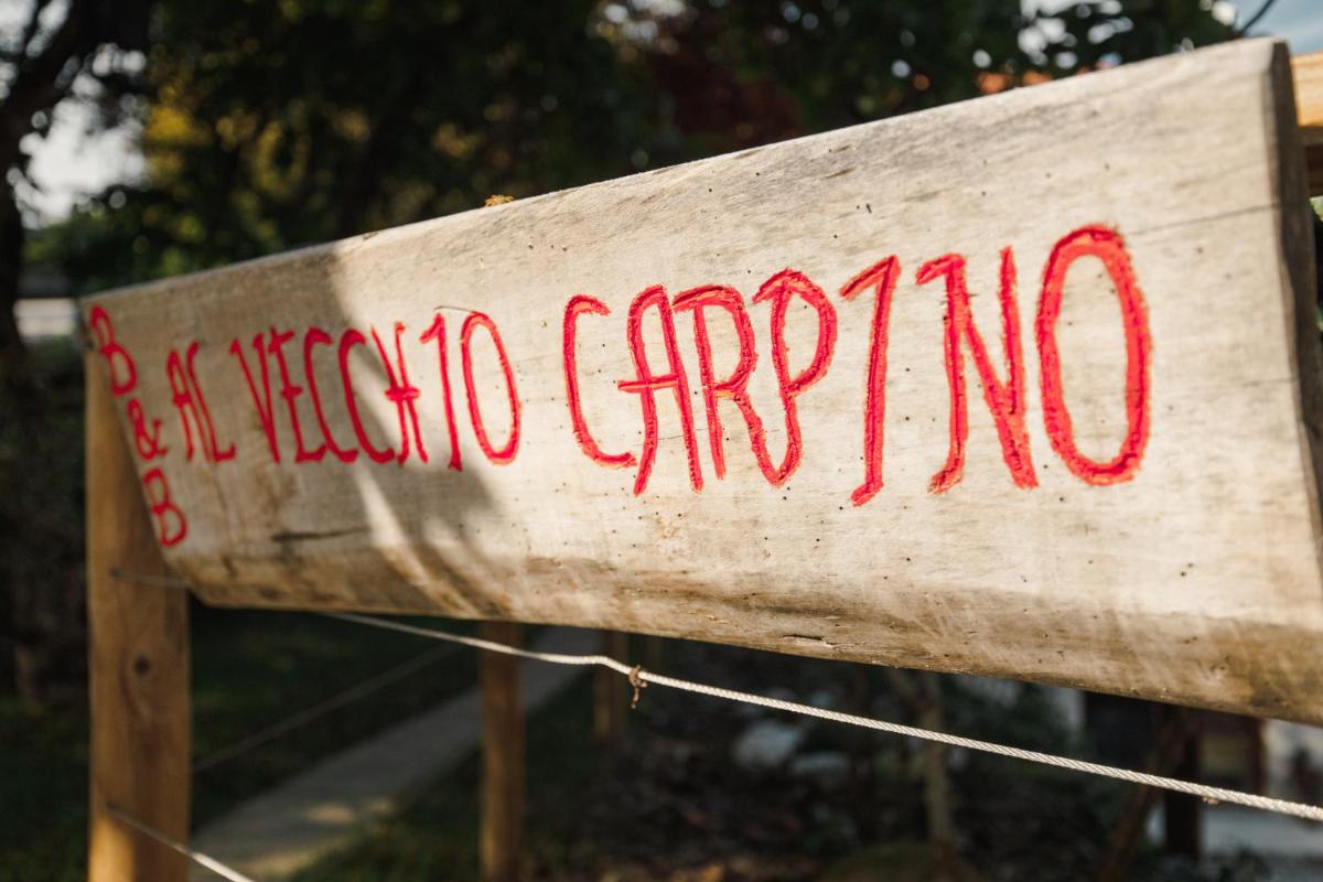 B&B AL VECCHIO CARPINO - Housity