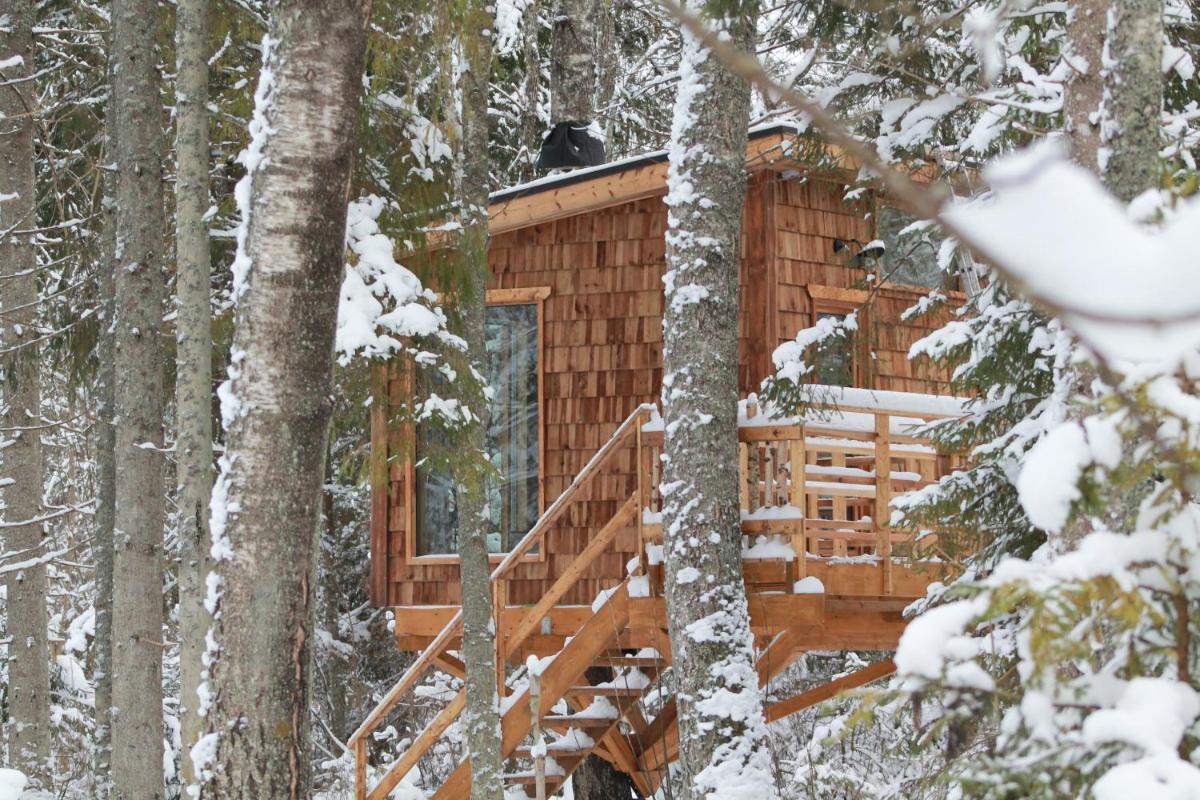 Tiigrisilma Treehouse - Housity