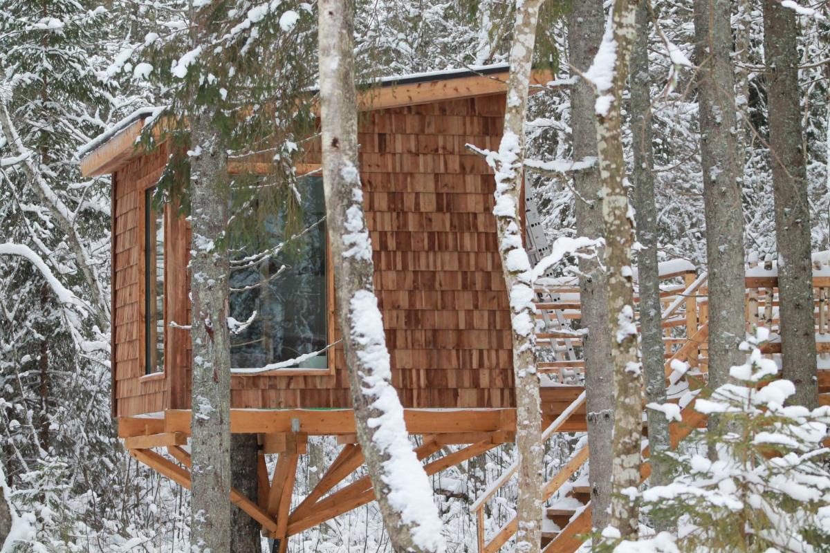 Tiigrisilma Treehouse - Housity