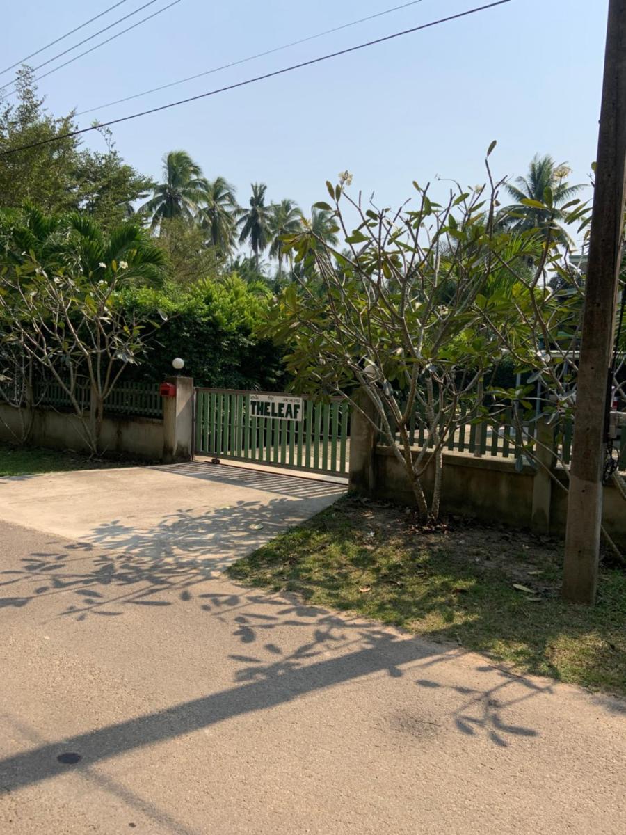 The Leaf Bankrut - Housity