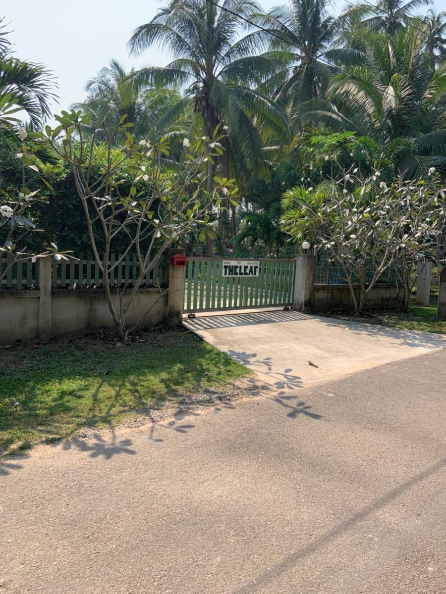 The Leaf Bankrut - Housity