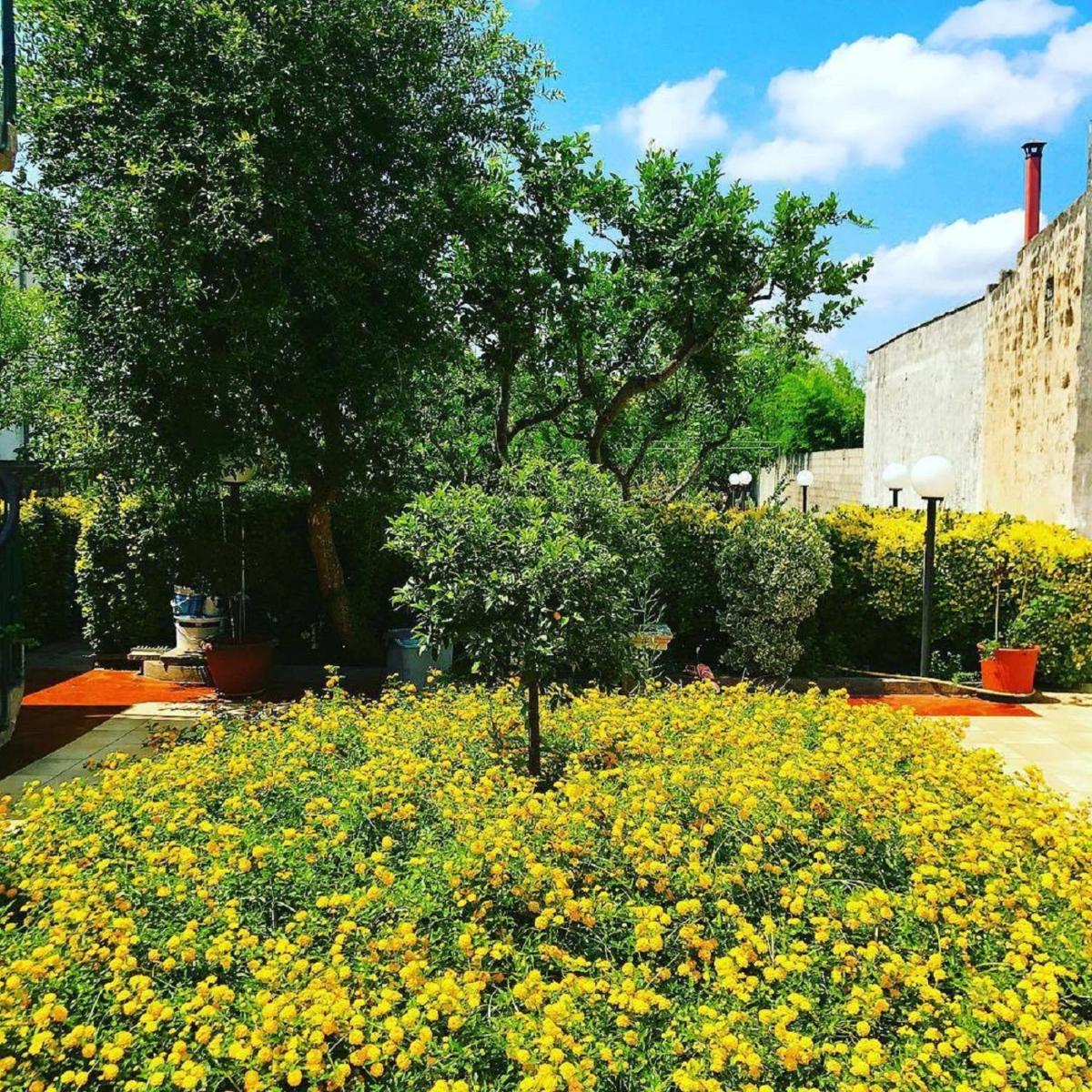 Villa Raffaela - Housity