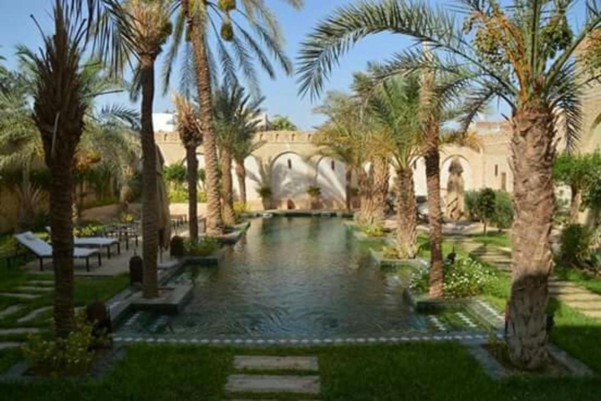 Dar Tozeur - Housity