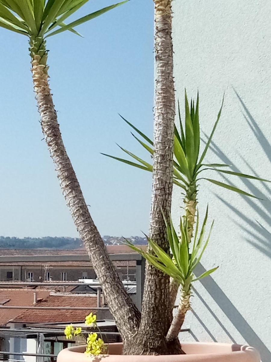 Hotel Chiaraluna - Housity