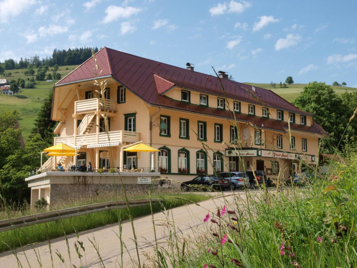 Grüner Baum Naturparkhotel & Schwarzwald-Restaurant - Housity