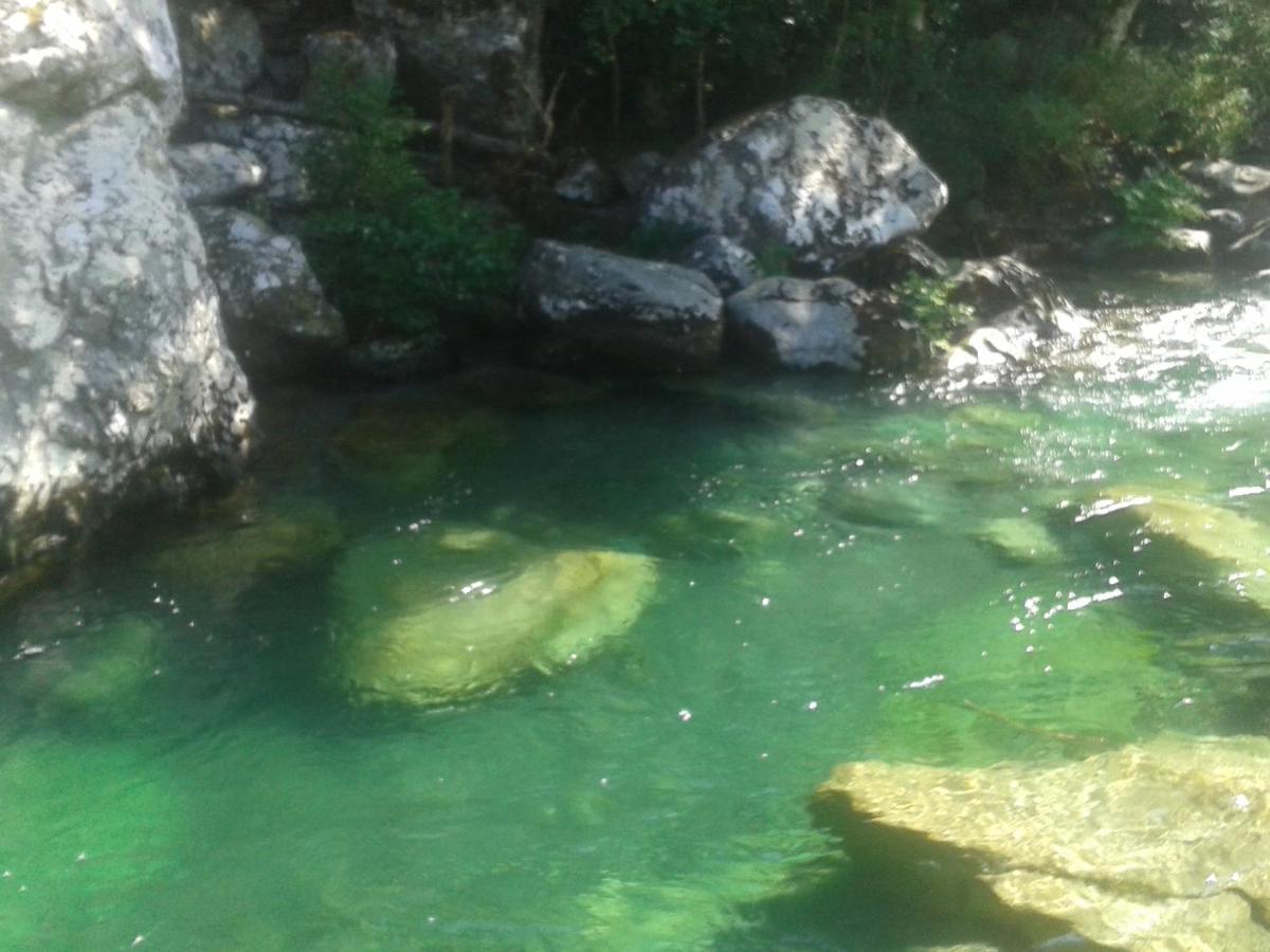 Suitetrails - autour du hamac