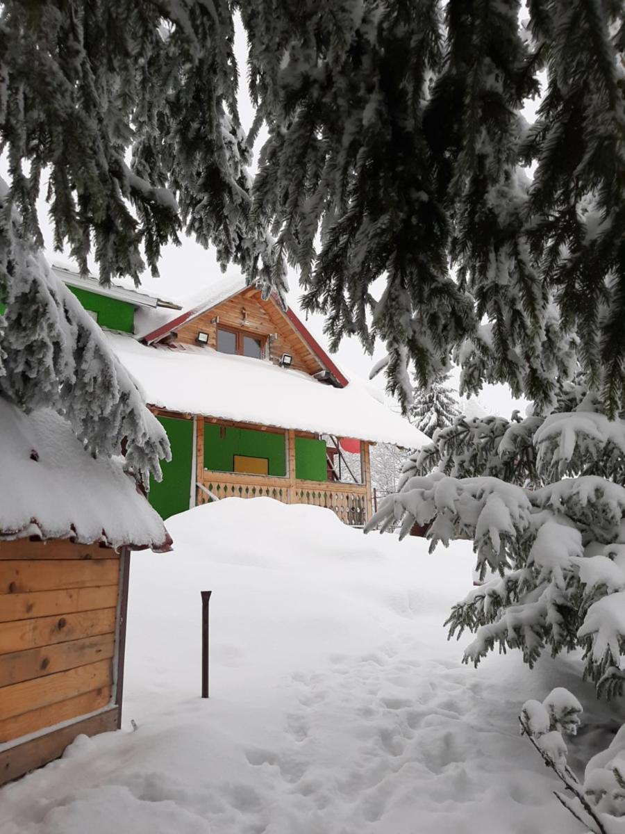 Cabana Drumul Voievodului - Housity
