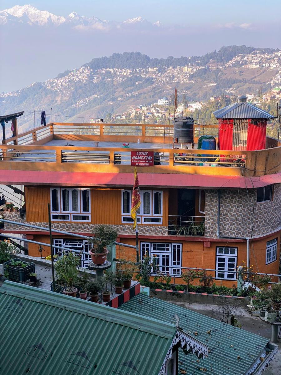Lotus Homestay - Housity