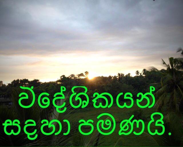 Happy Villa - Housity