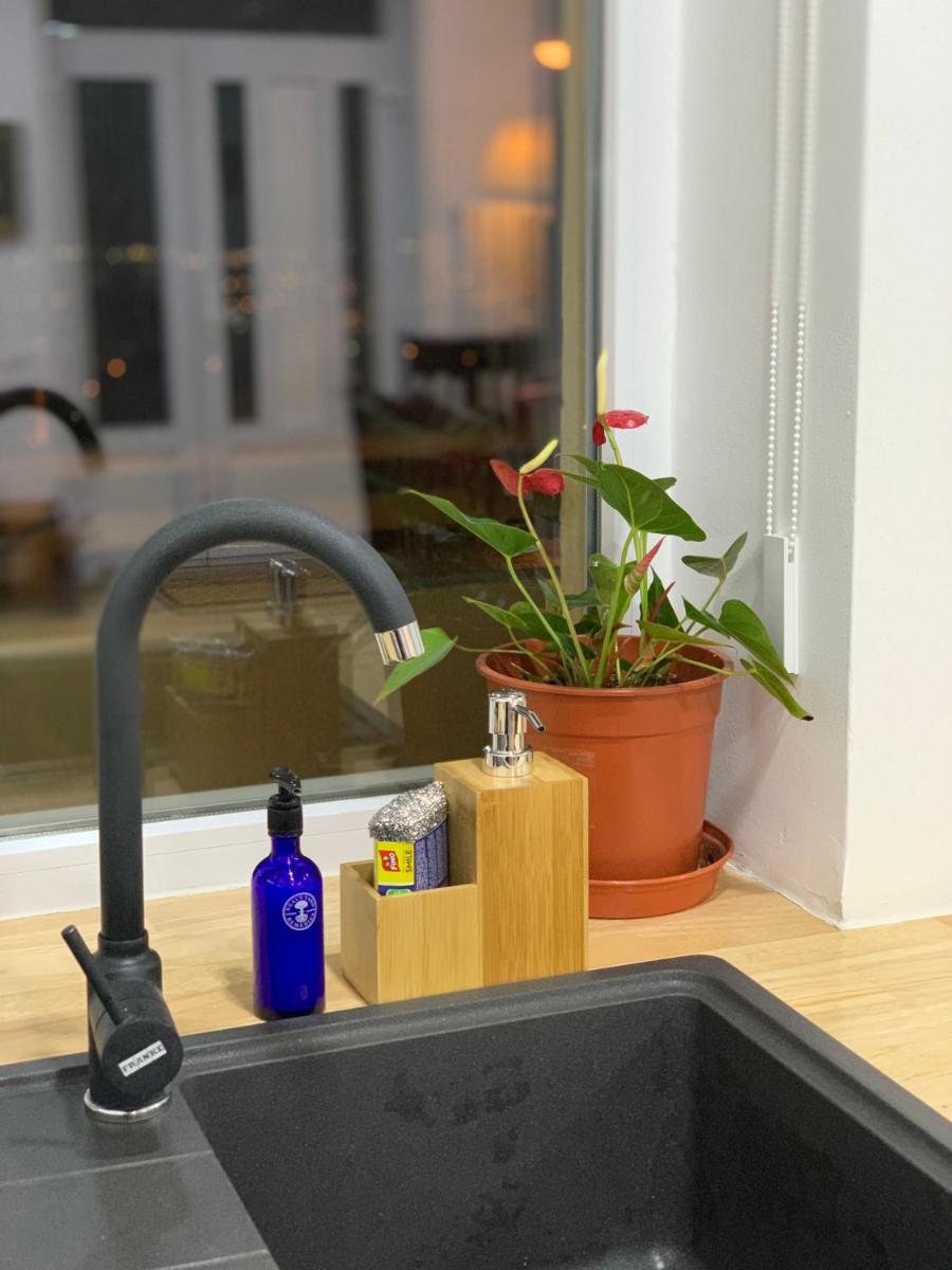 Dana House in Central Cluj - Housity