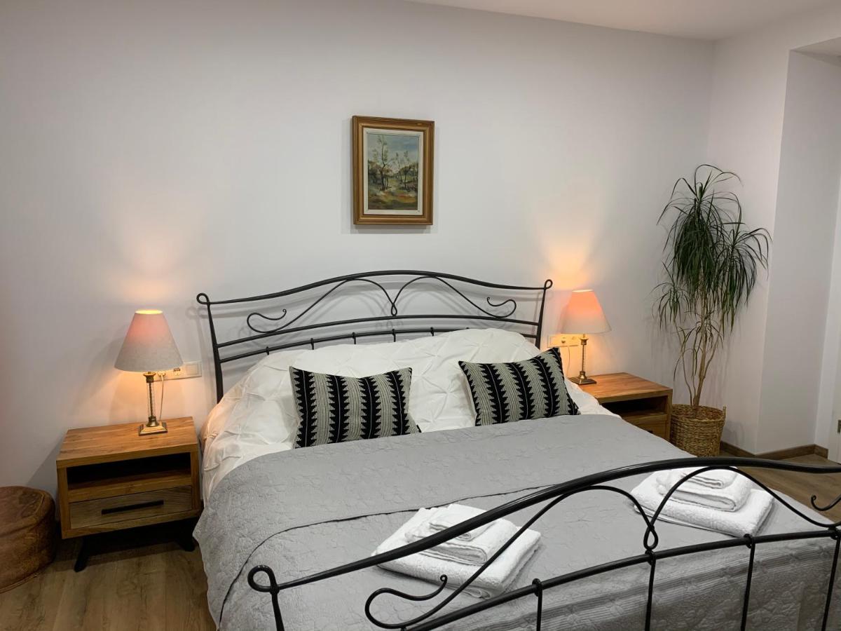 Dana House in Central Cluj - Housity