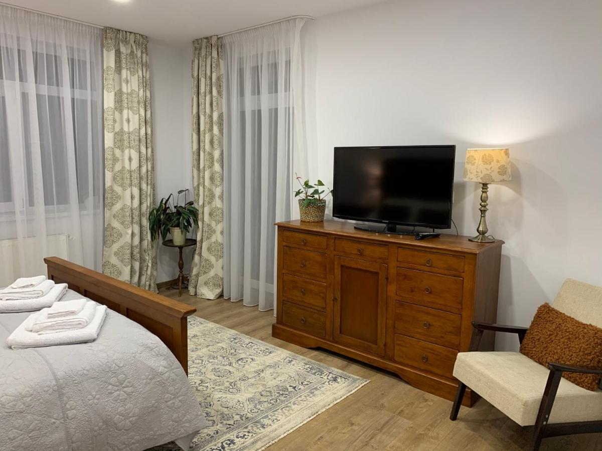 Dana House in Central Cluj - Housity