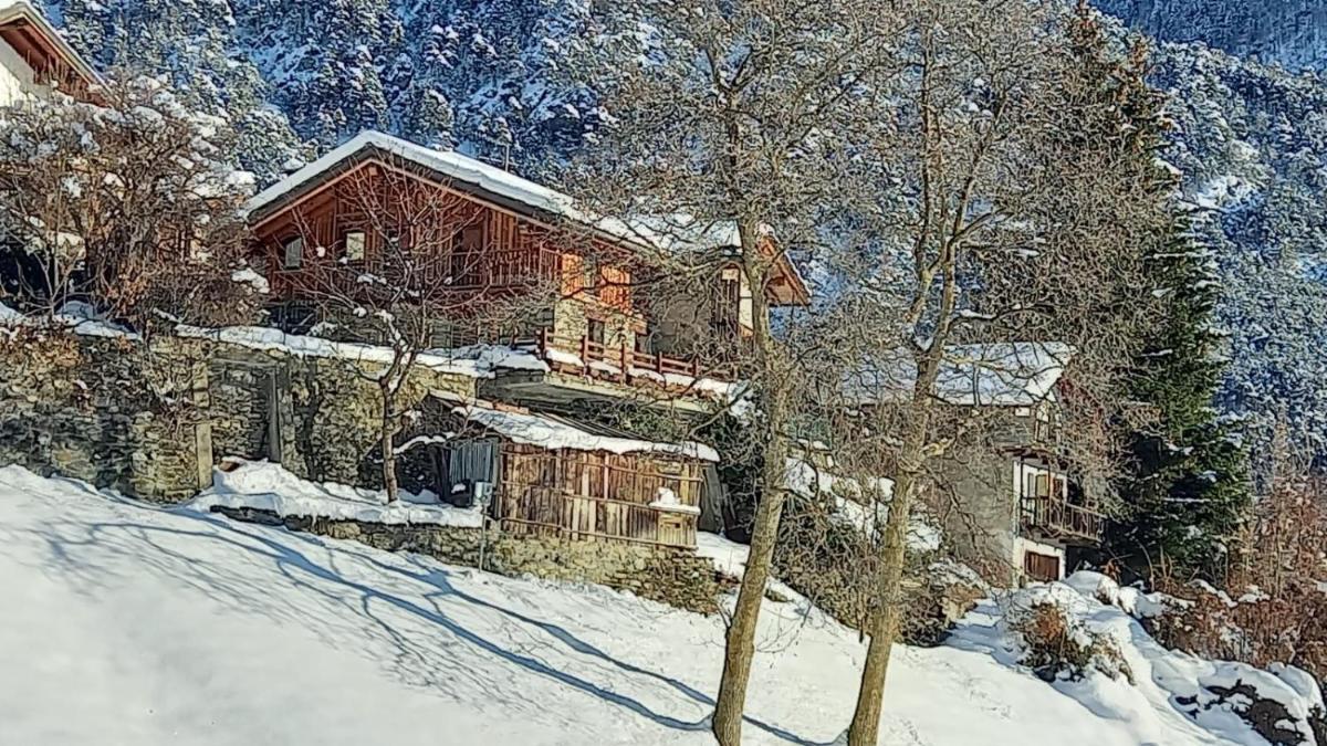 Eco Chalet Maison Dominique - Housity
