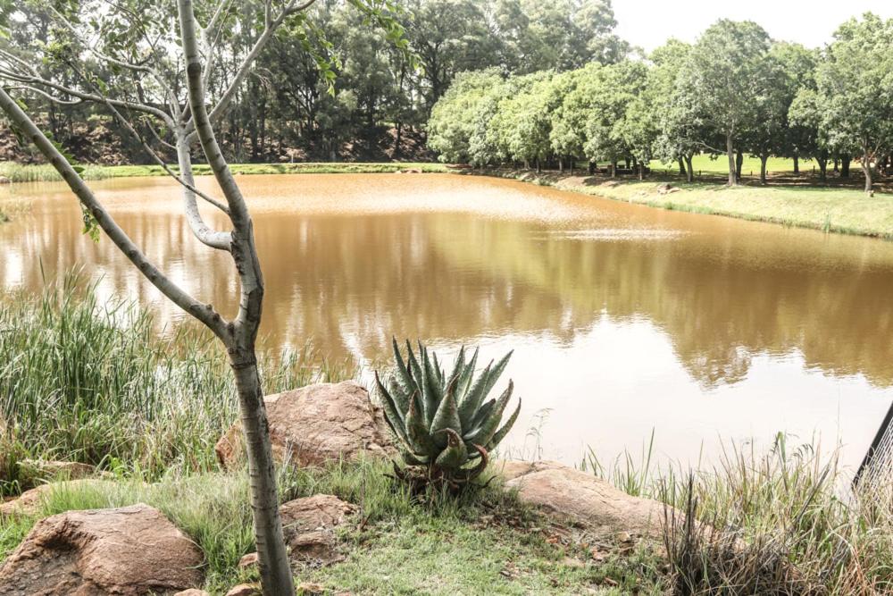 Heidelberg Kloof Lodge - Housity