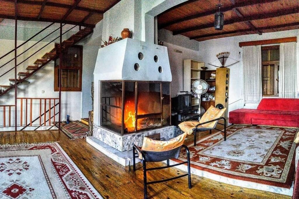 Muhtesem manzarali somineli dag orman evi - Housity